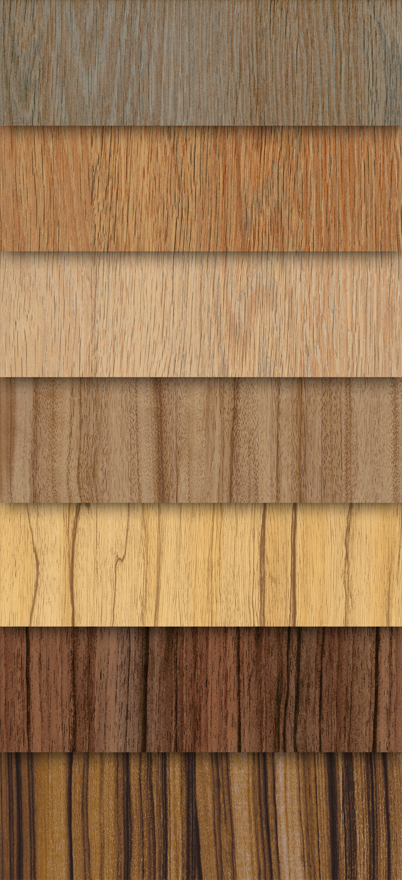 maderas de diferentes tipos