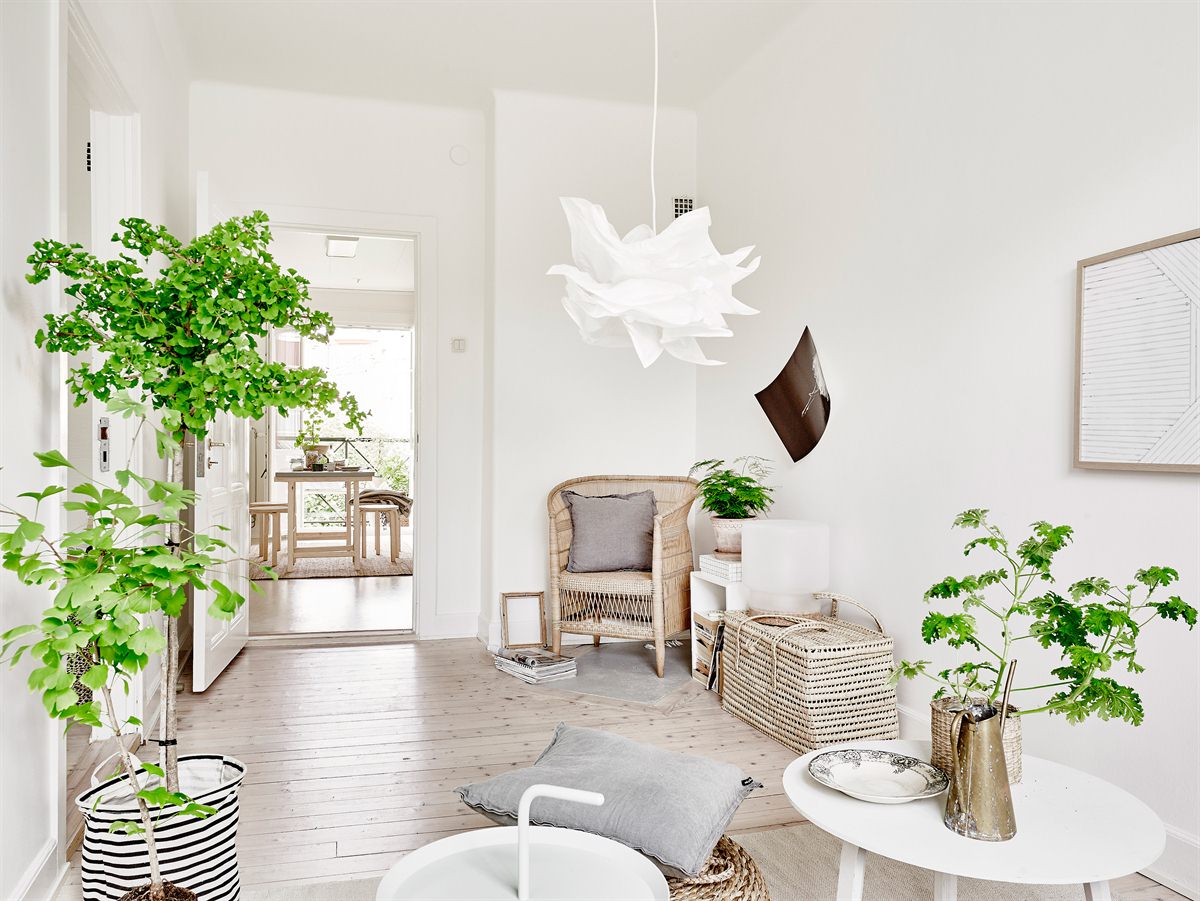 salón en color blanco y decorado con plantas