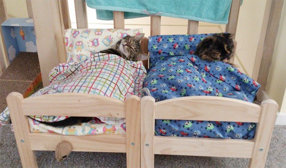 camas para gatos IKEA