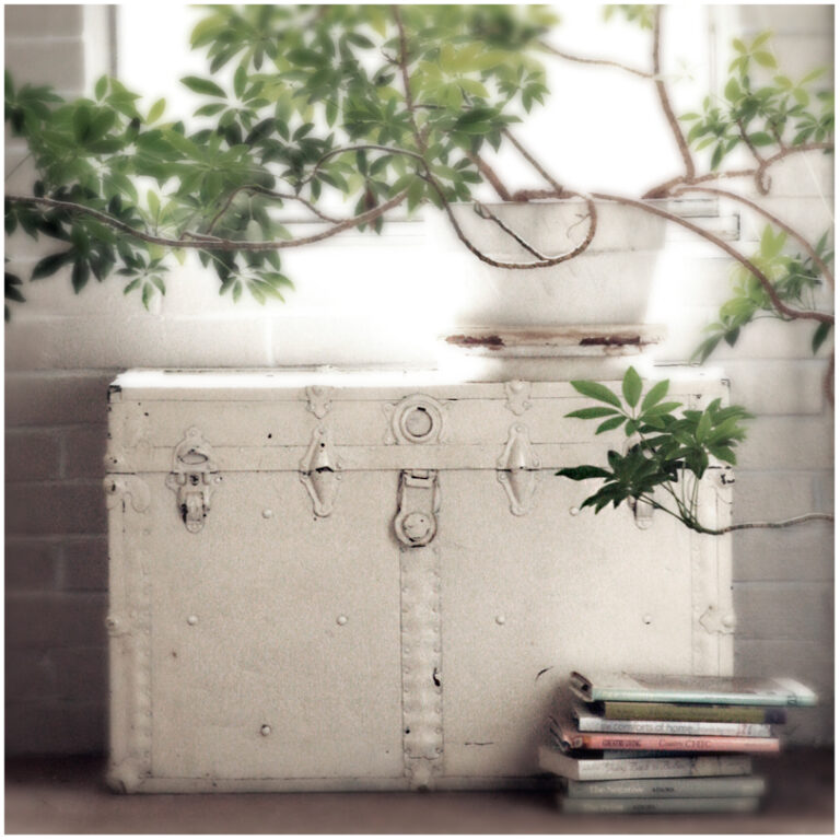 10 complementos que puedes incluir en tu decoración de estilo nórdico