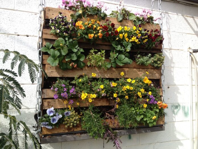 jardín vertical - pallet pintado