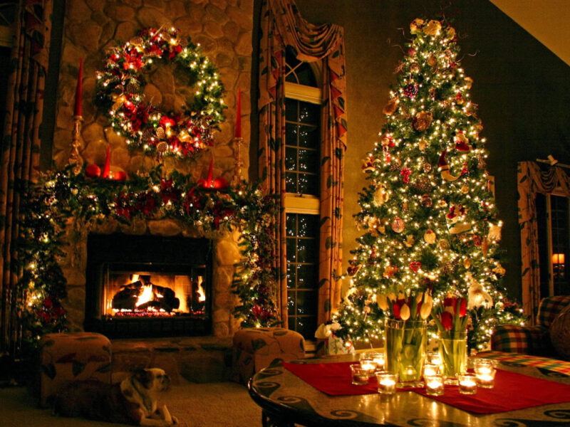 árbol de Navidad natural iluminado