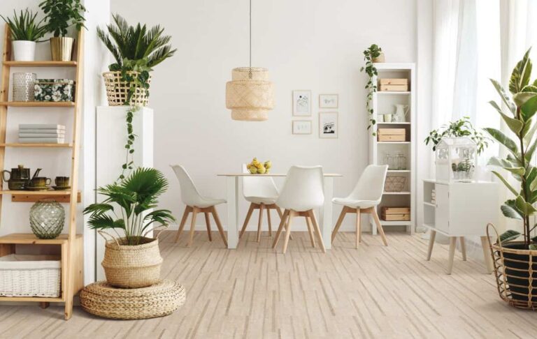 5 plantas que te ayudarán a refrescar el ambiente