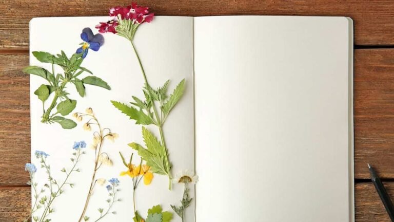 Descubre las diversas técnicas para secar flores en casa