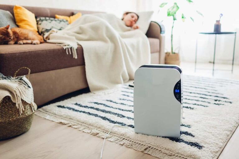 Por qué un deshumidificador puede hacer que tu casa sea más confortable