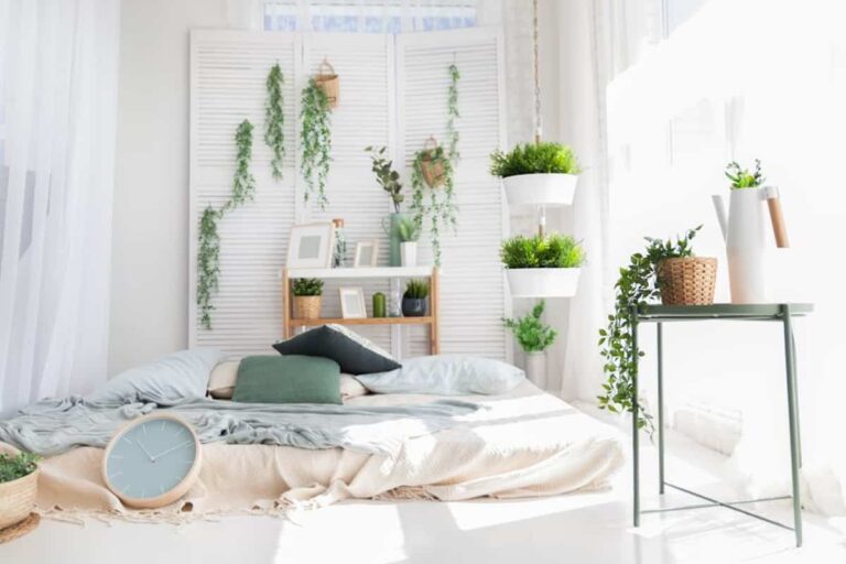 8 plantas perfectas para el  dormitorio