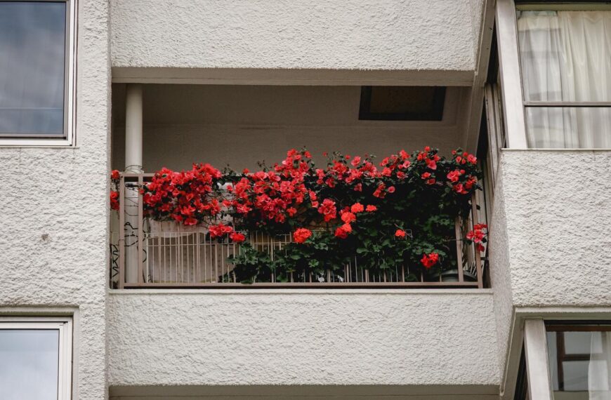 Plantas resistentes al sol para embellecer tu terraza o balcón este verano