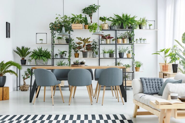 Plantas que refrescan el ambiente en los meses estivales