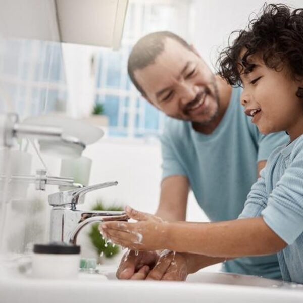Lavamanos: un elemento esencial en todo hogar